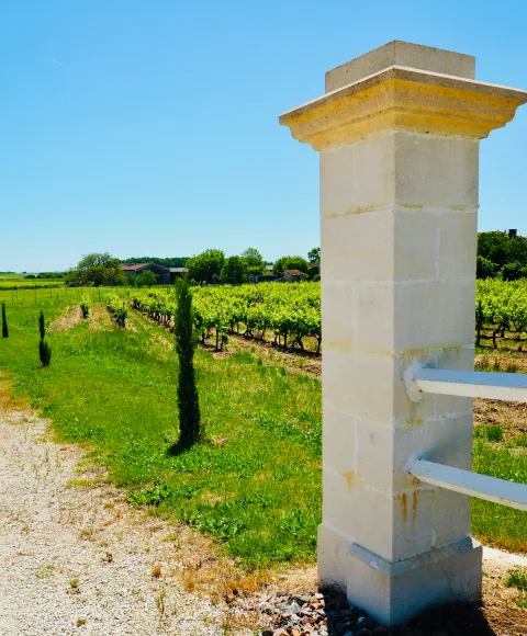 Domaine et vignes du Cognac Jean Fort en Charente