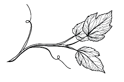 Domaine et vignes du Cognac Jean Fort en Charente