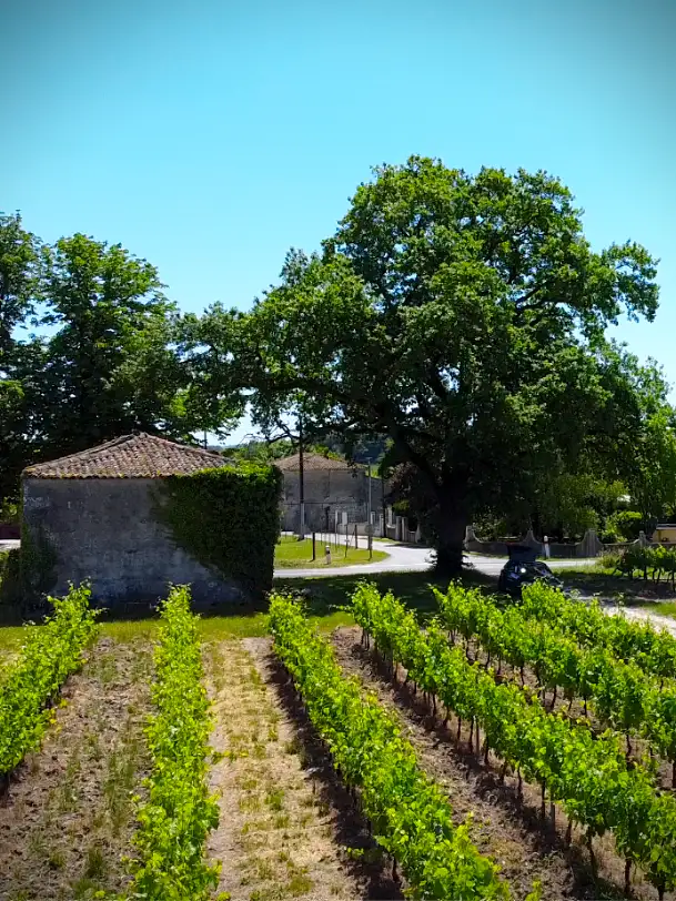 La famille Fort, producteur de cognac en Charente, devant le chai familial à Bellevigne.