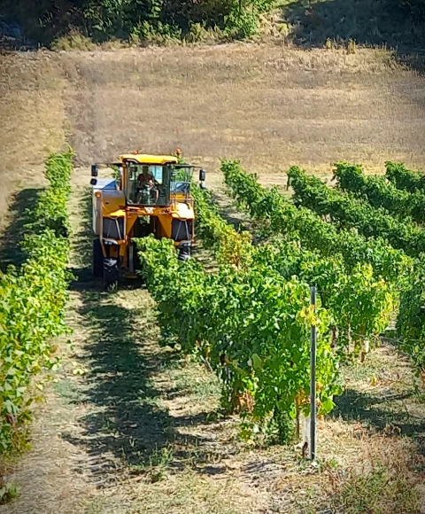 La famille Fort, producteur de cognac en Charente, devant le chai familial à Bellevigne.