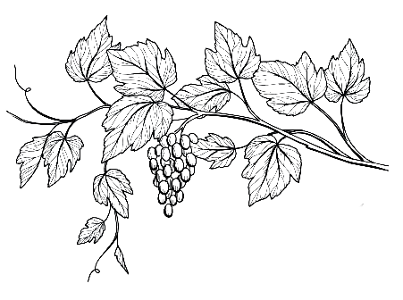 Domaine et vignes du Cognac Jean Fort en Charente