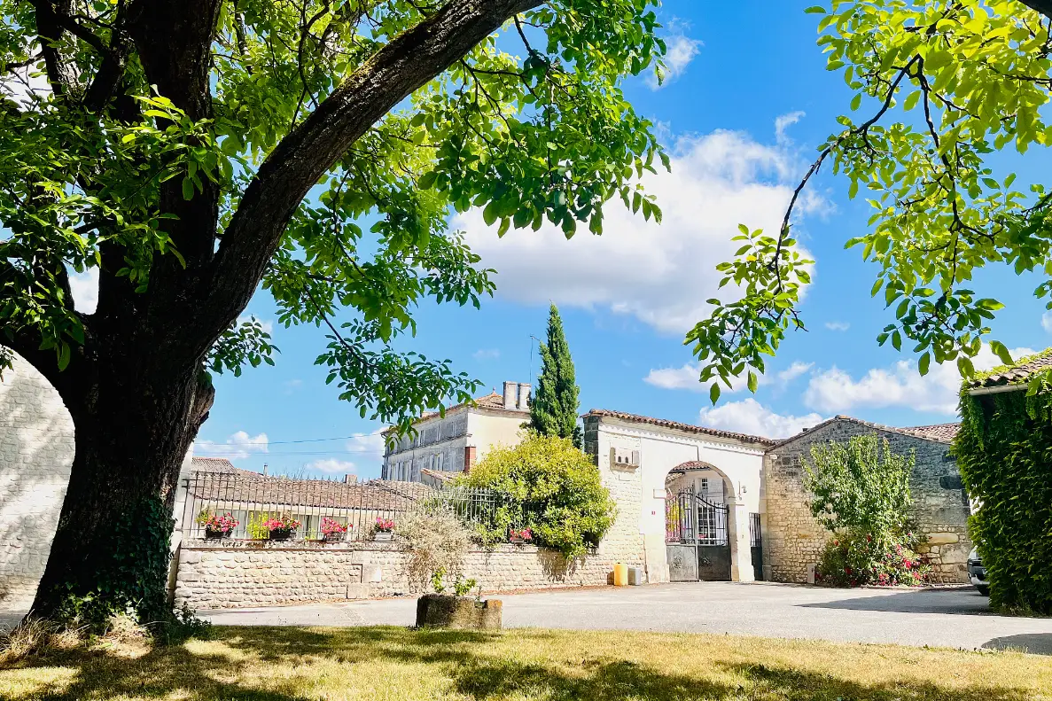 Domaine et vignes du Cognac Jean Fort en Charente